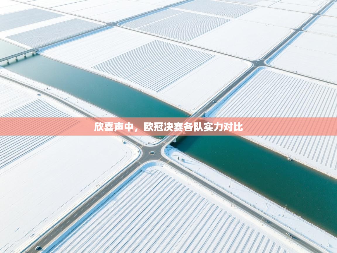 欣喜声中，欧冠决赛各队实力对比  第1张