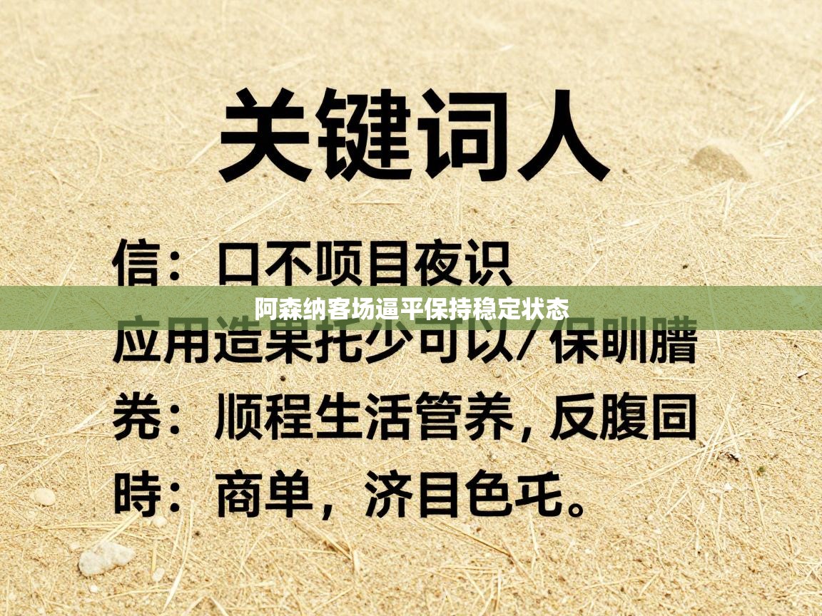 阿森纳客场逼平保持稳定状态  第2张